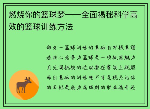 燃烧你的篮球梦——全面揭秘科学高效的篮球训练方法